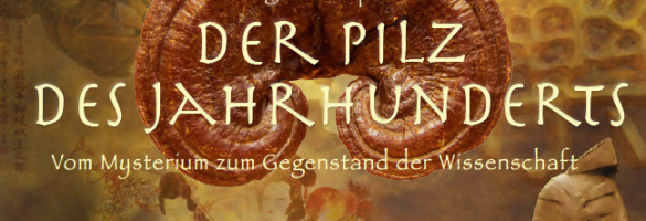 Die Führungskräfte Dany Szasz und Stefan Sommer im Interview